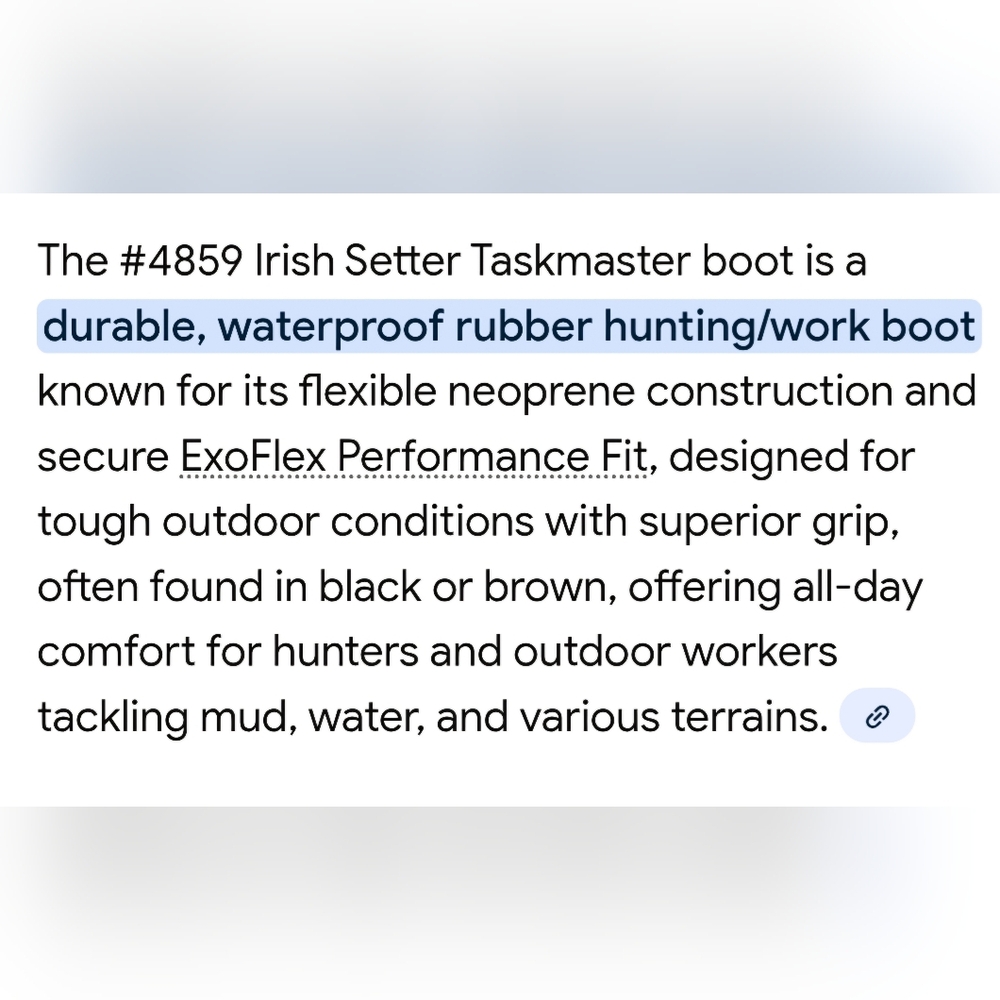 Taskmaster Boots NWOT - Picture 9 of 10